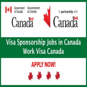 Visa sponsorship jobs in canada 2024 | how to apply